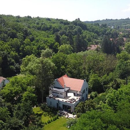 Villa Viridis Buekkalja Borsodgeszt Extérieur photo