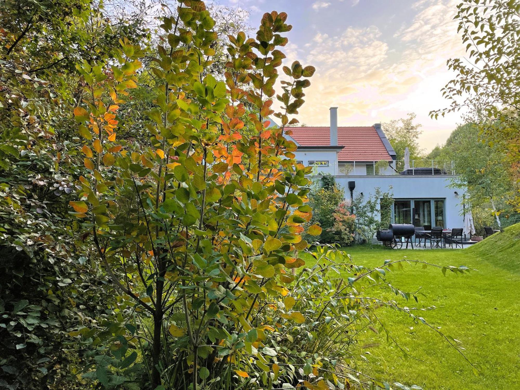 Villa Viridis Buekkalja Borsodgeszt Extérieur photo